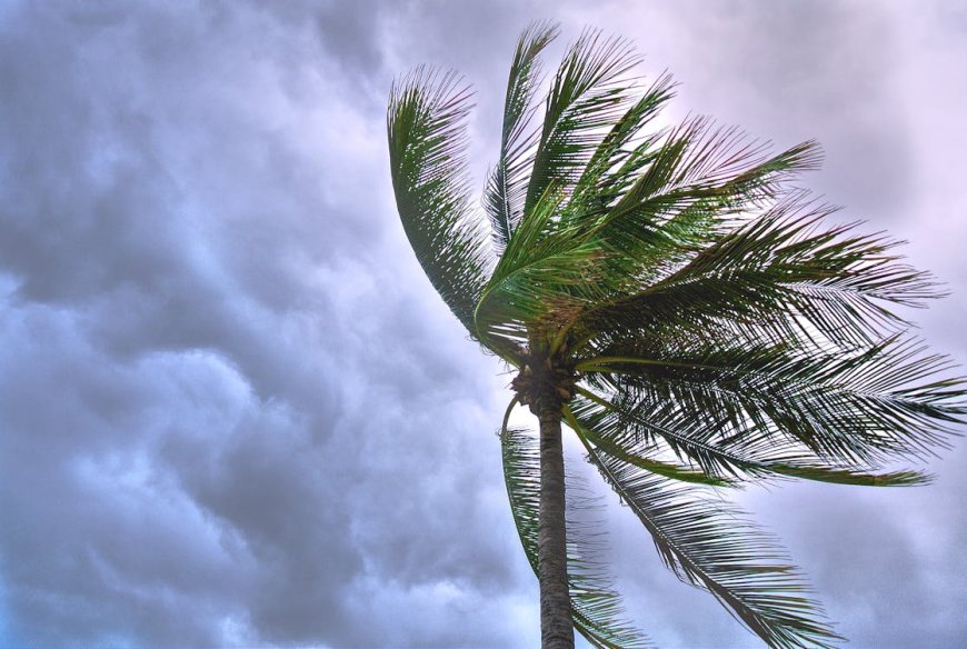 Sueños con Tormentas